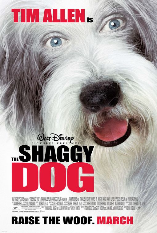 shaggy_dog